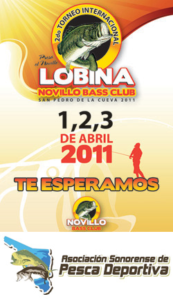 volante2011_3