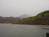 paisaje_novillo_con_neblina